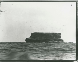 Image of Gannet Rock